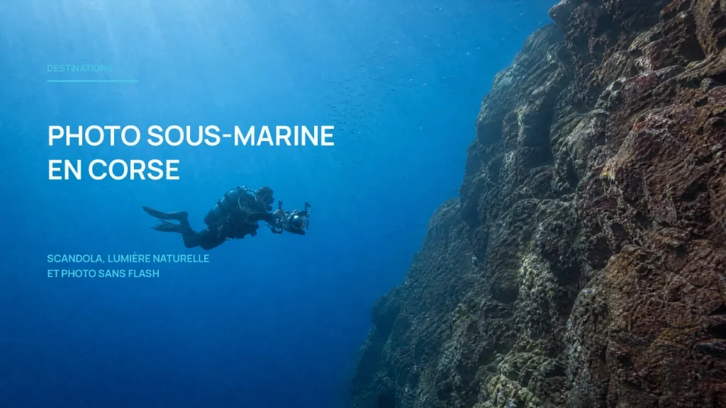 Photo sous-marine en Corse : Scandola, Cap Corse et les meilleurs sites