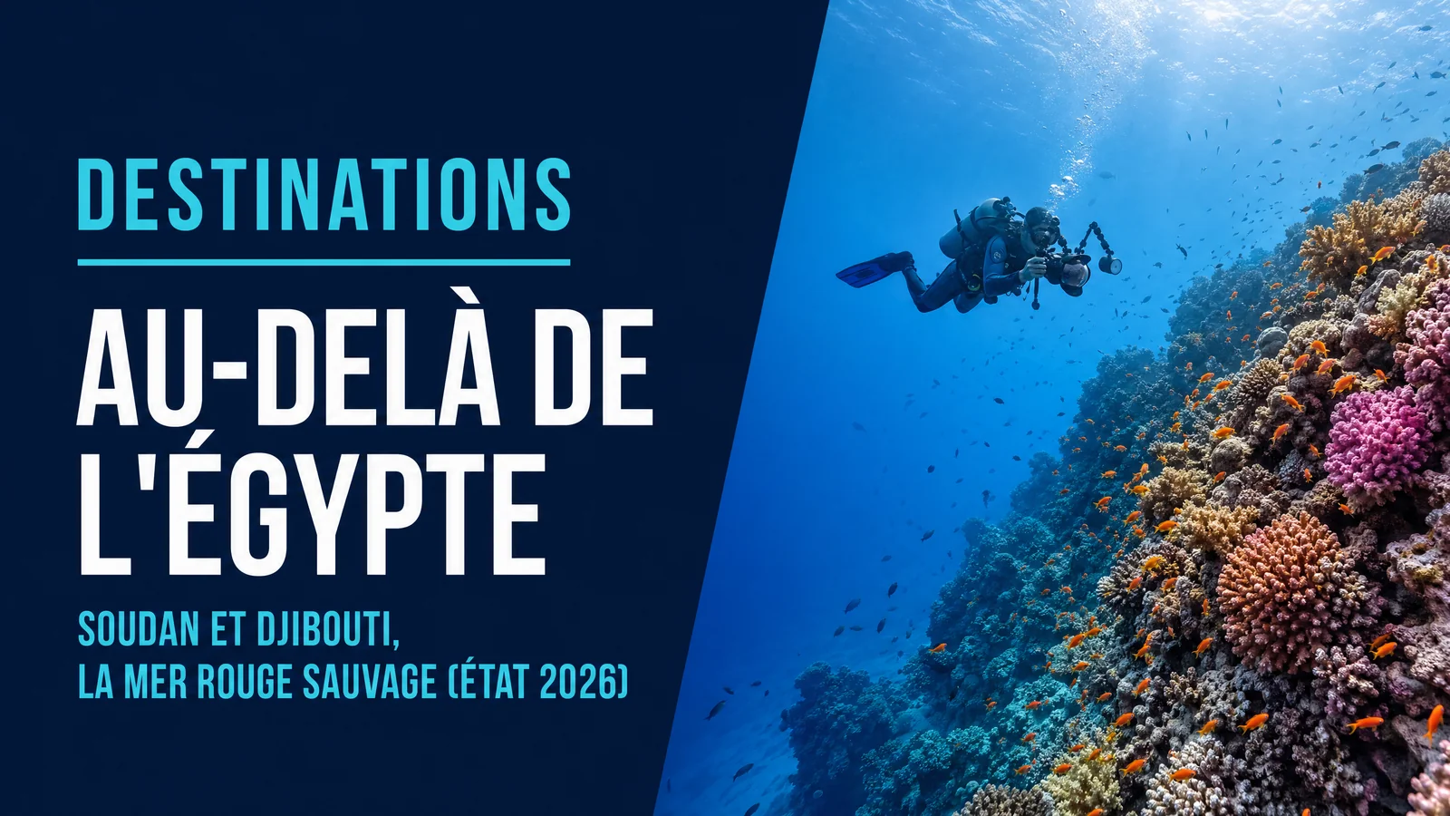 Au-delà de l'Égypte : Soudan et Djibouti, la mer Rouge sauvage (état 2026)