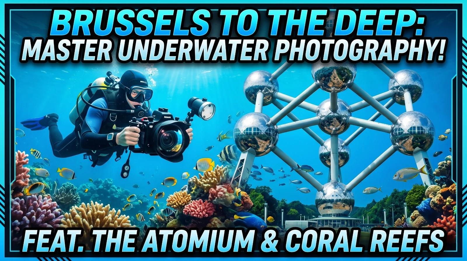 Formation photo sous-marine en Belgique