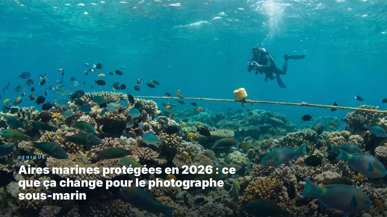 Marine Protected Areas in 2026: What It Changes for the Underwater Photographer