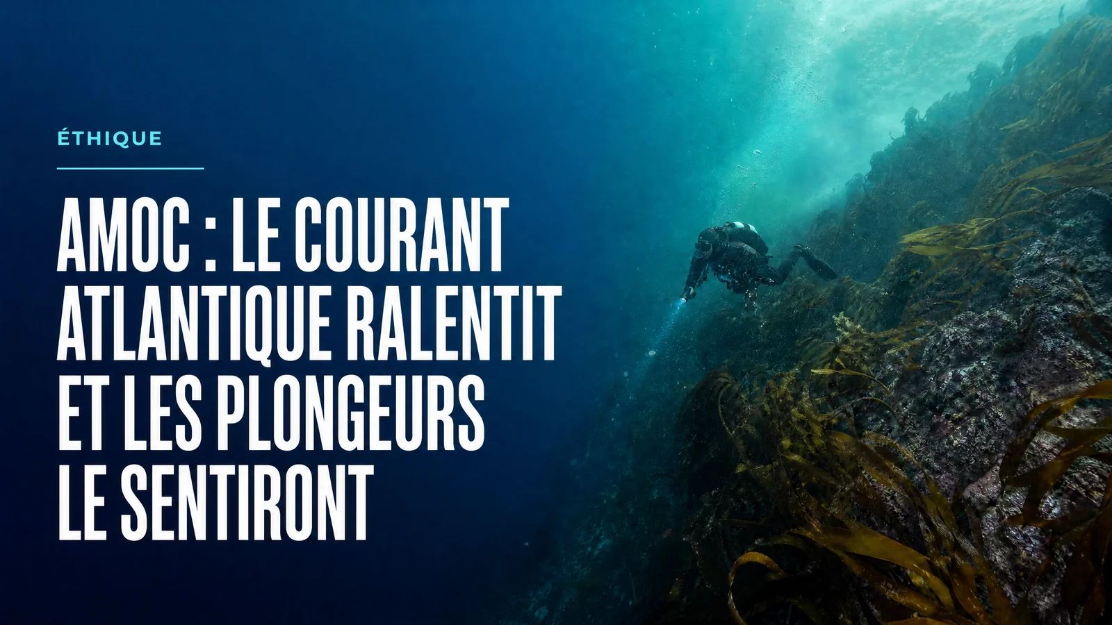 AMOC: The Atlantic current is slowing down, and divers will notice it