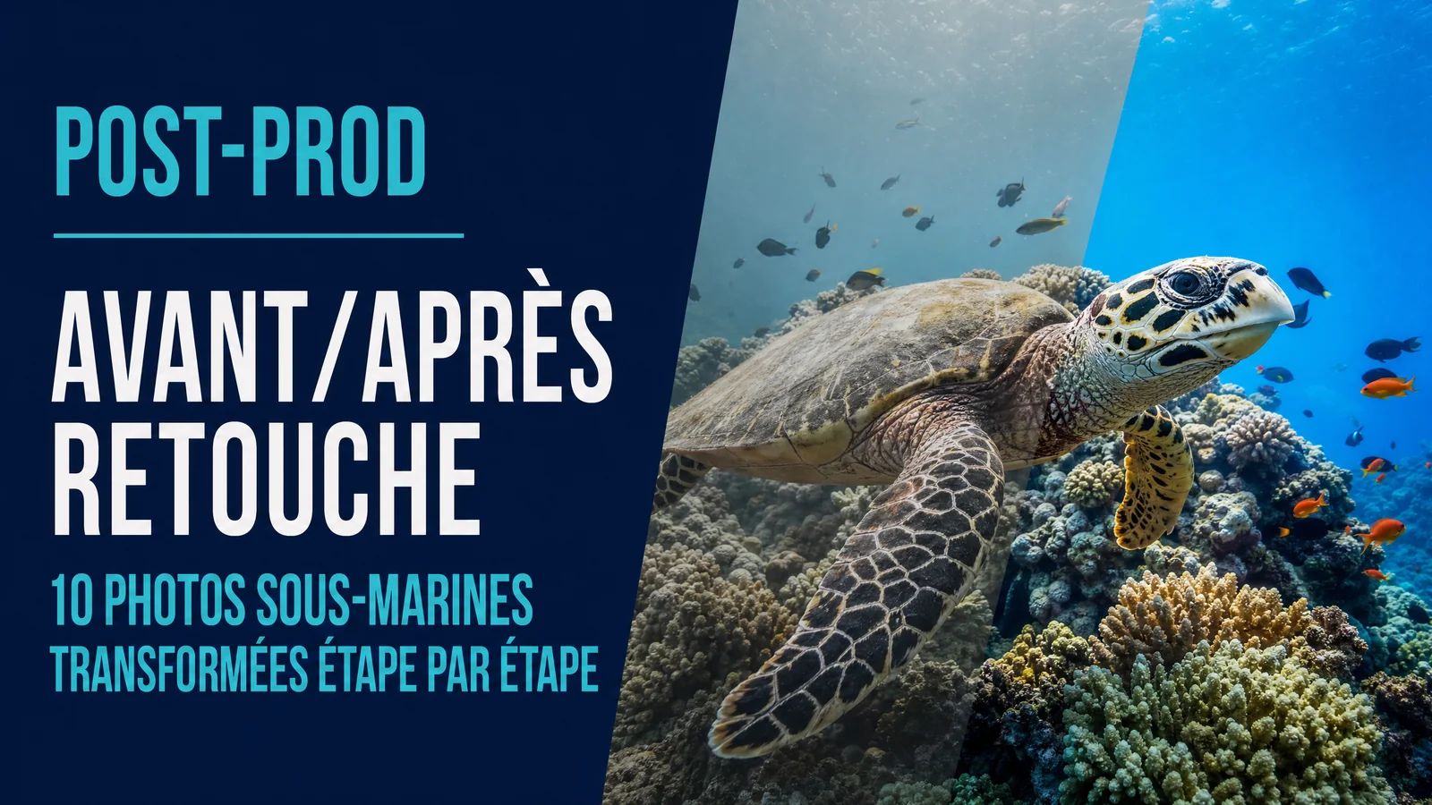 Avant/après retouche : 10 photos sous-marines transformées étape par étape