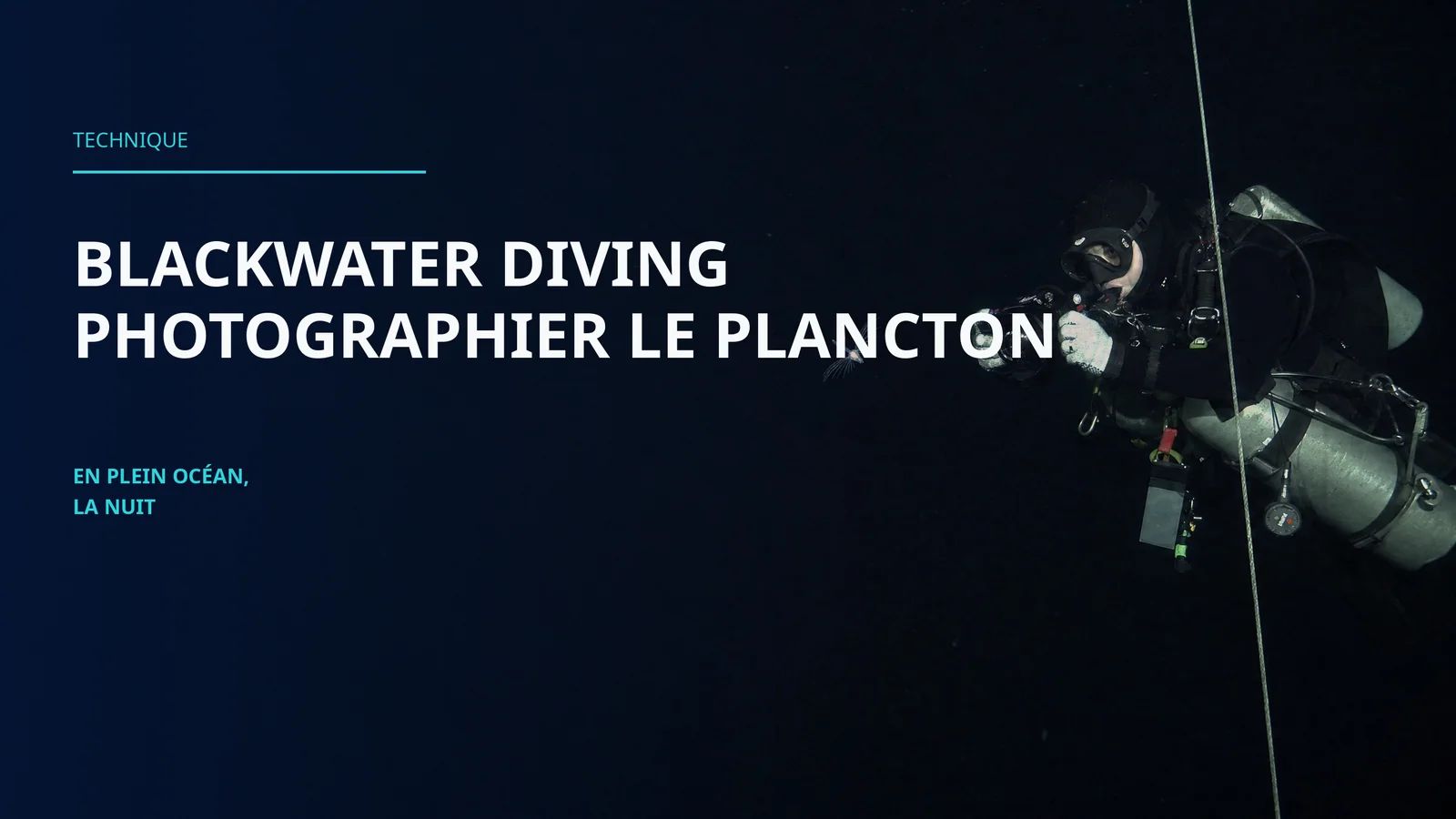 Blackwater diving : guide complet pour photographier le plancton en plein océan la nuit