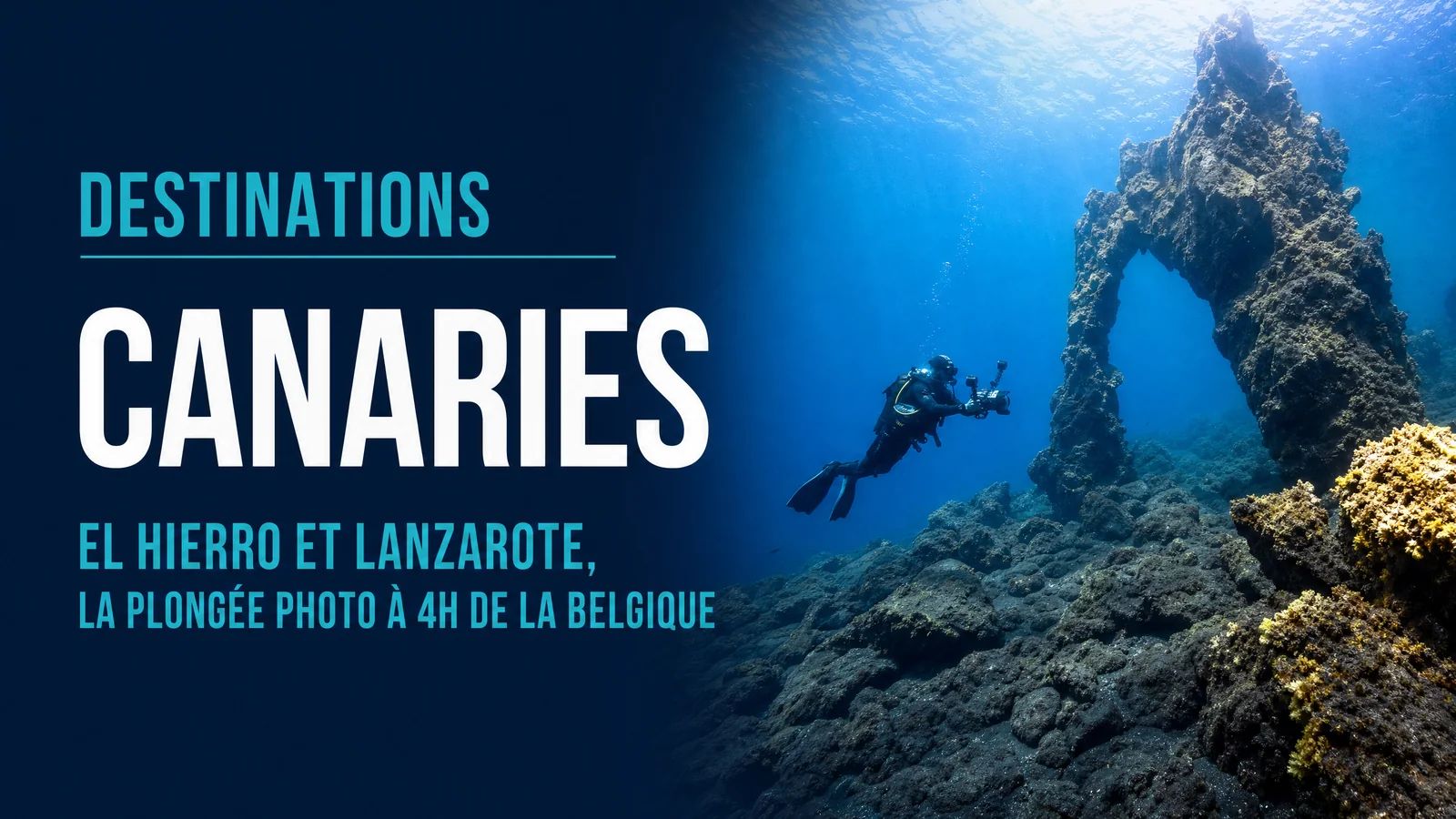Canary Islands: El Hierro and Lanzarote, Dive Photography 4h from Belgium