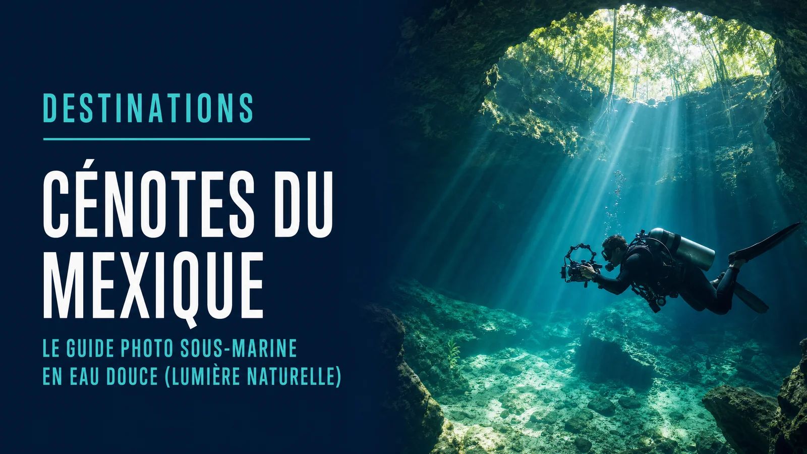 Mexico's Cenotes: The Complete Underwater Photography Guide (Natural Light)