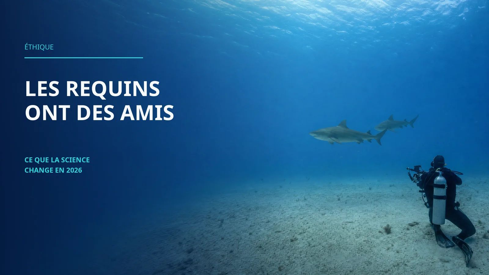 Sharks Have Friends: What 2026 Science Changes About How You Photograph Them