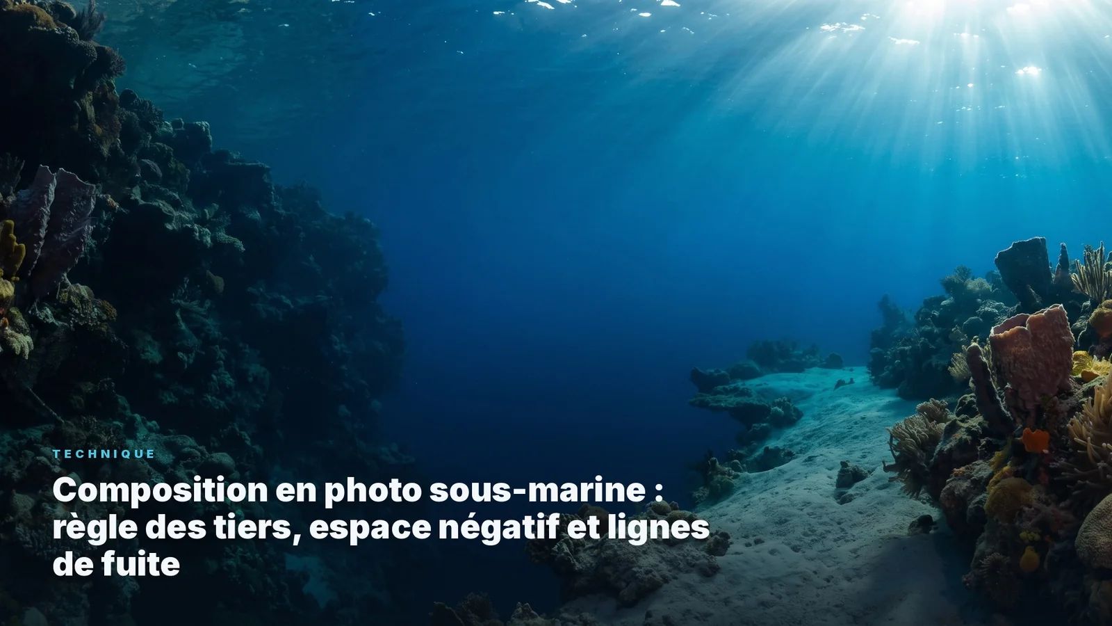 Underwater photography composition: rule of thirds, negative space, and leading lines