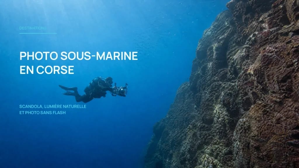 Underwater Photography in Corsica: Scandola, Cap Corse, and the Best Dive Sites.