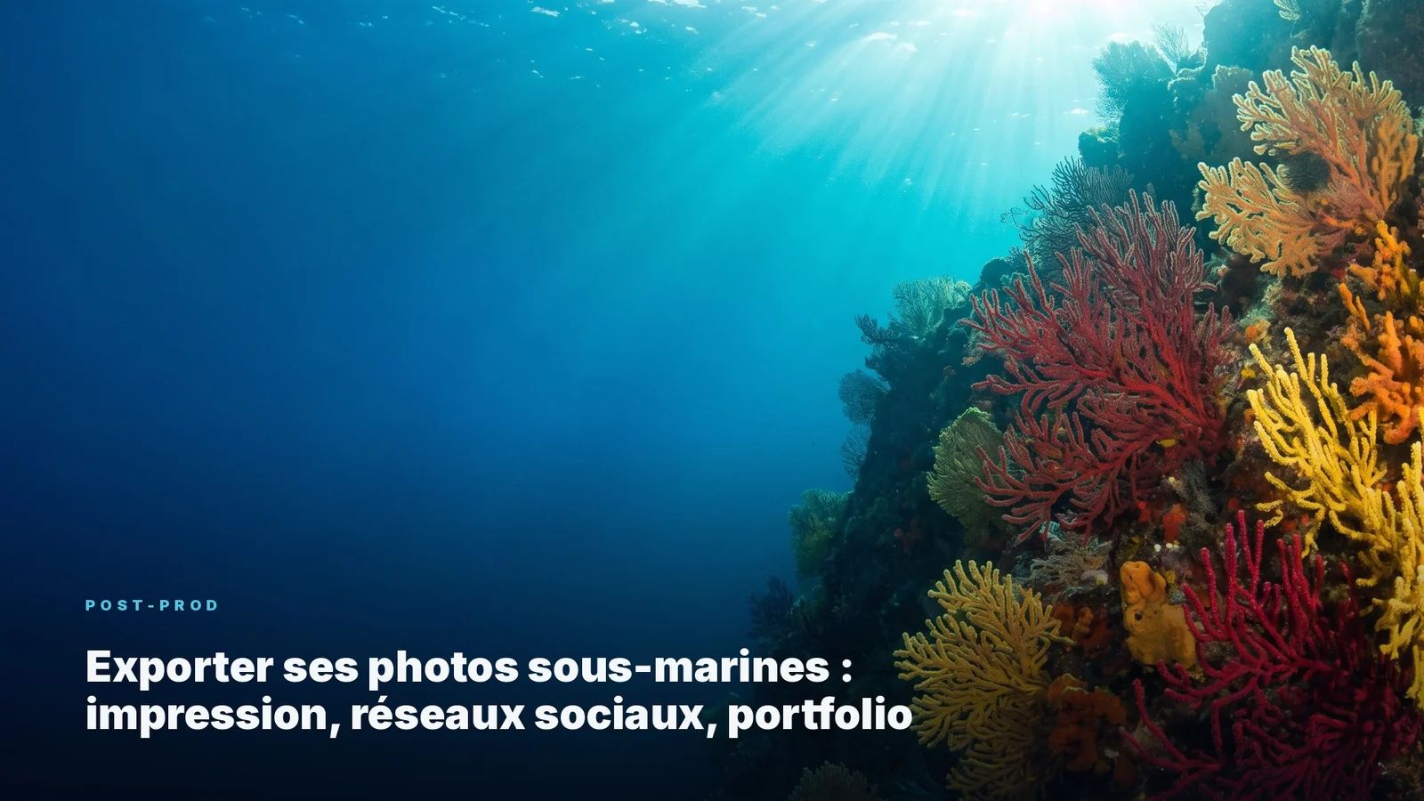 Onderwaterfoto's exporteren: afdrukken, social media en portfolio