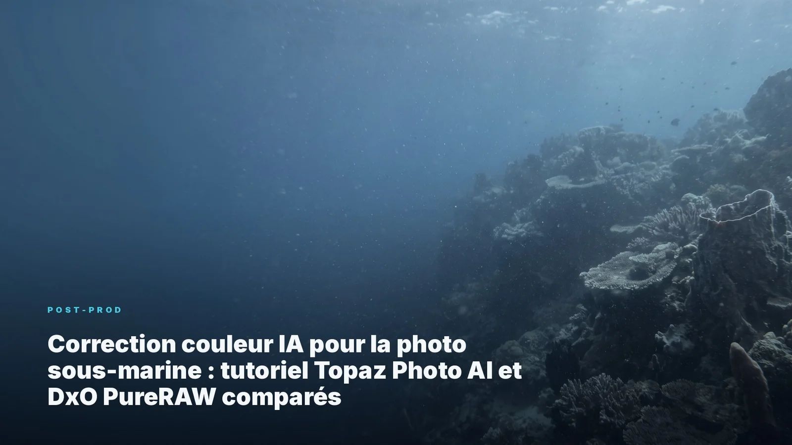 Correction couleur IA pour la photo sous-marine : tutoriel Topaz Photo AI et DxO PureRAW comparés