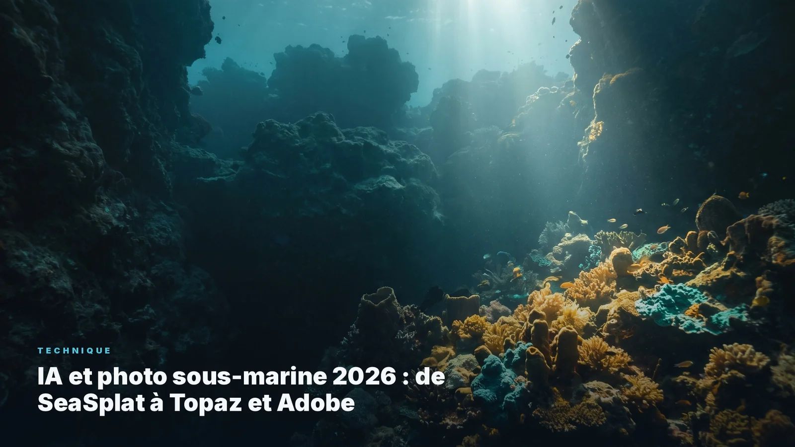 AI and underwater photography 2026: From SeaSplat to Topaz and Adobe