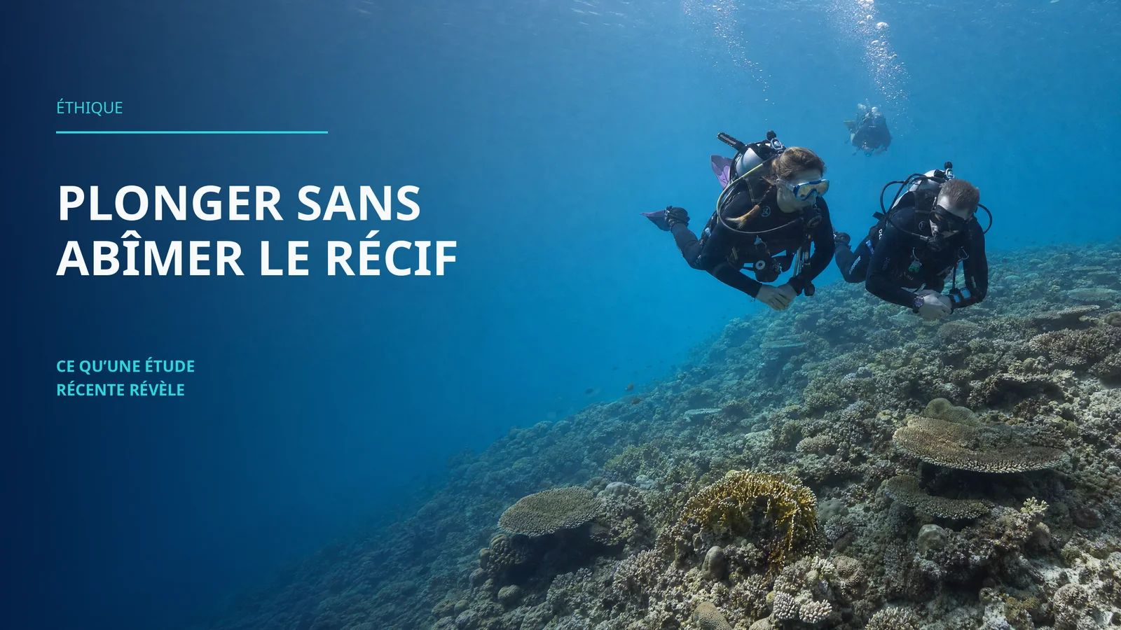Les plongeurs abîment les récifs sans le savoir : ce qu'une étude récente révèle (et comment changer ça)