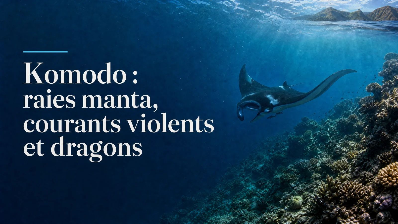Komodo : raies manta, courants violents et dragons - la plongée photo extrême d'Indonésie