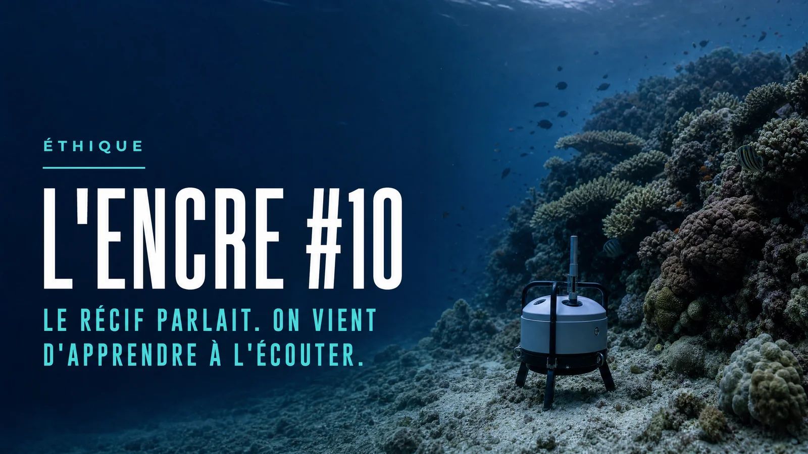 The Ink #10 - The Reef Was Talking. We Just Learned to Listen.