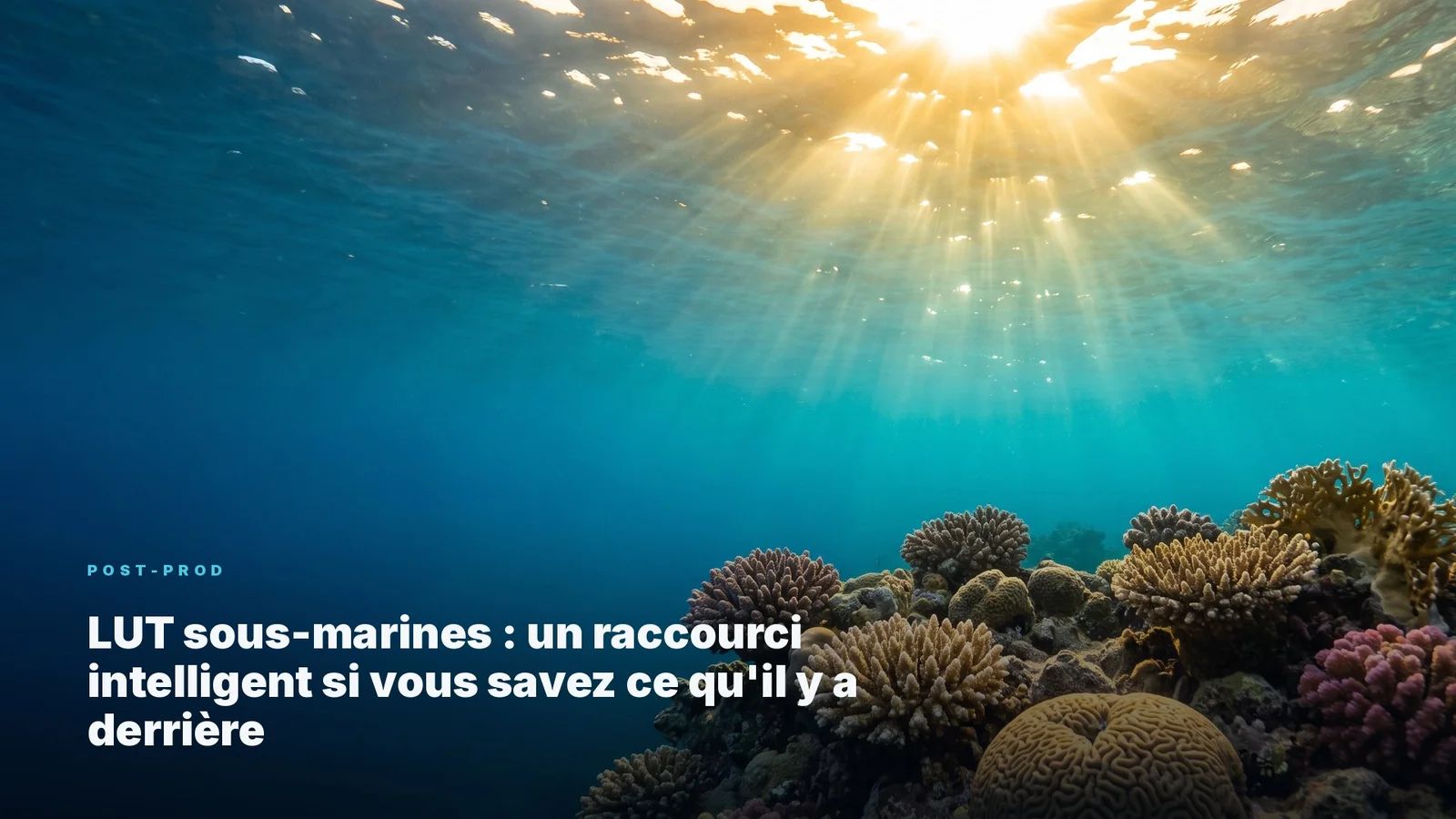 Underwater LUTs: A Smart Shortcut If You Know What's Behind It