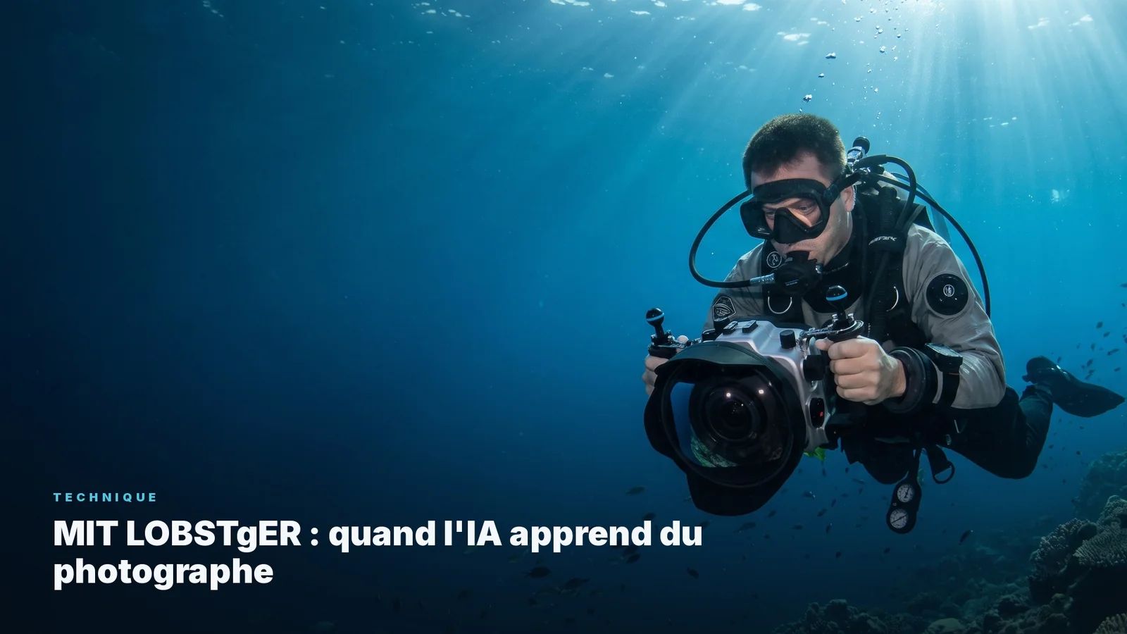 MIT LOBSTgER : quand l'IA apprend du photographe