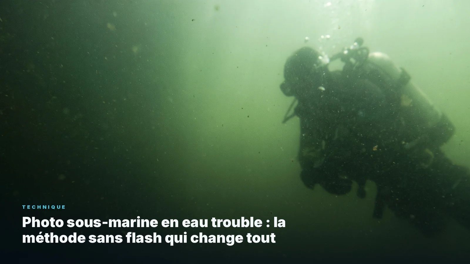 Underwater Photography in Low Visibility: The No-Flash Method