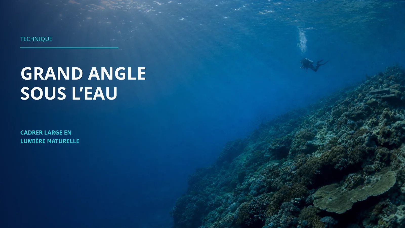 Wide-Angle Underwater Photography with Natural Light