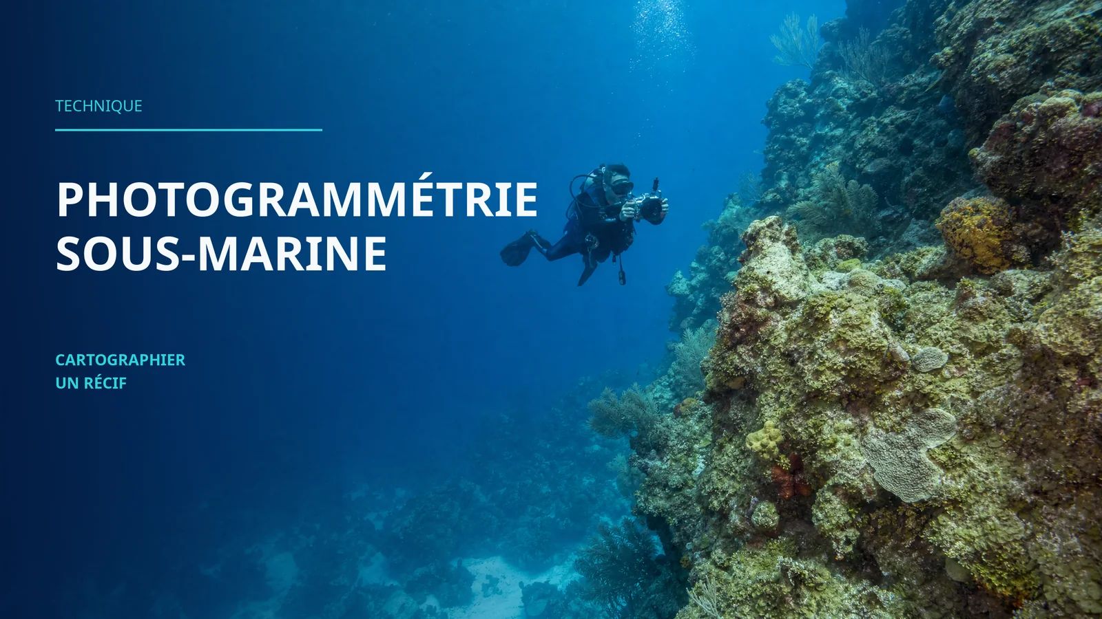 Underwater Photogrammetry: How to Map a Reef in 3D