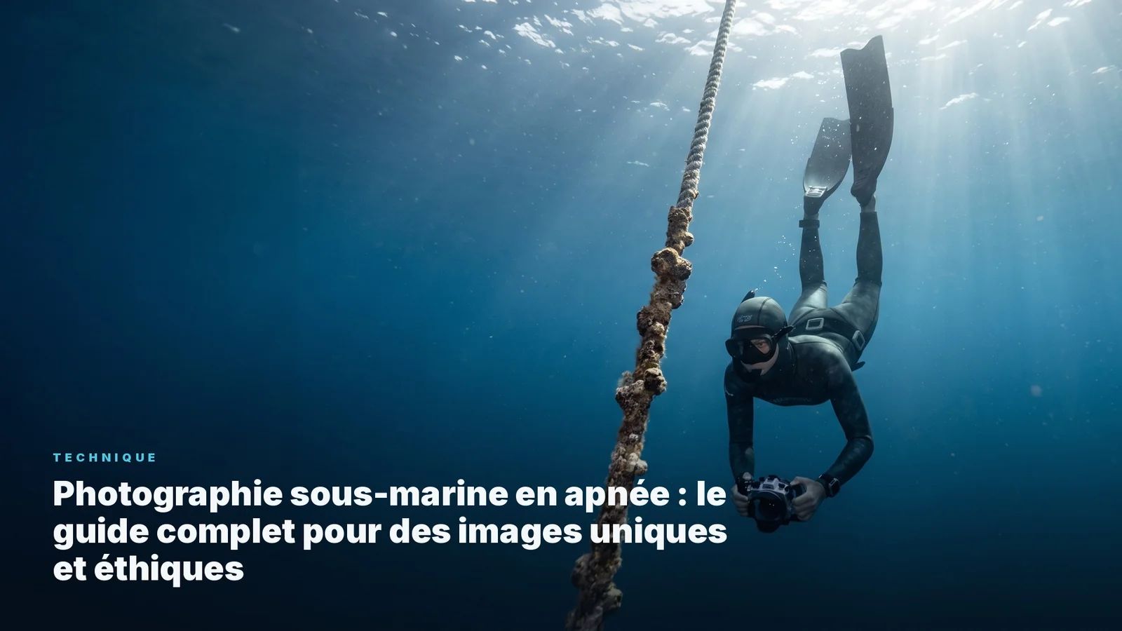 Photographie Sous-Marine en Apnée : Le Guide Complet pour des Images Uniques et Éthiques