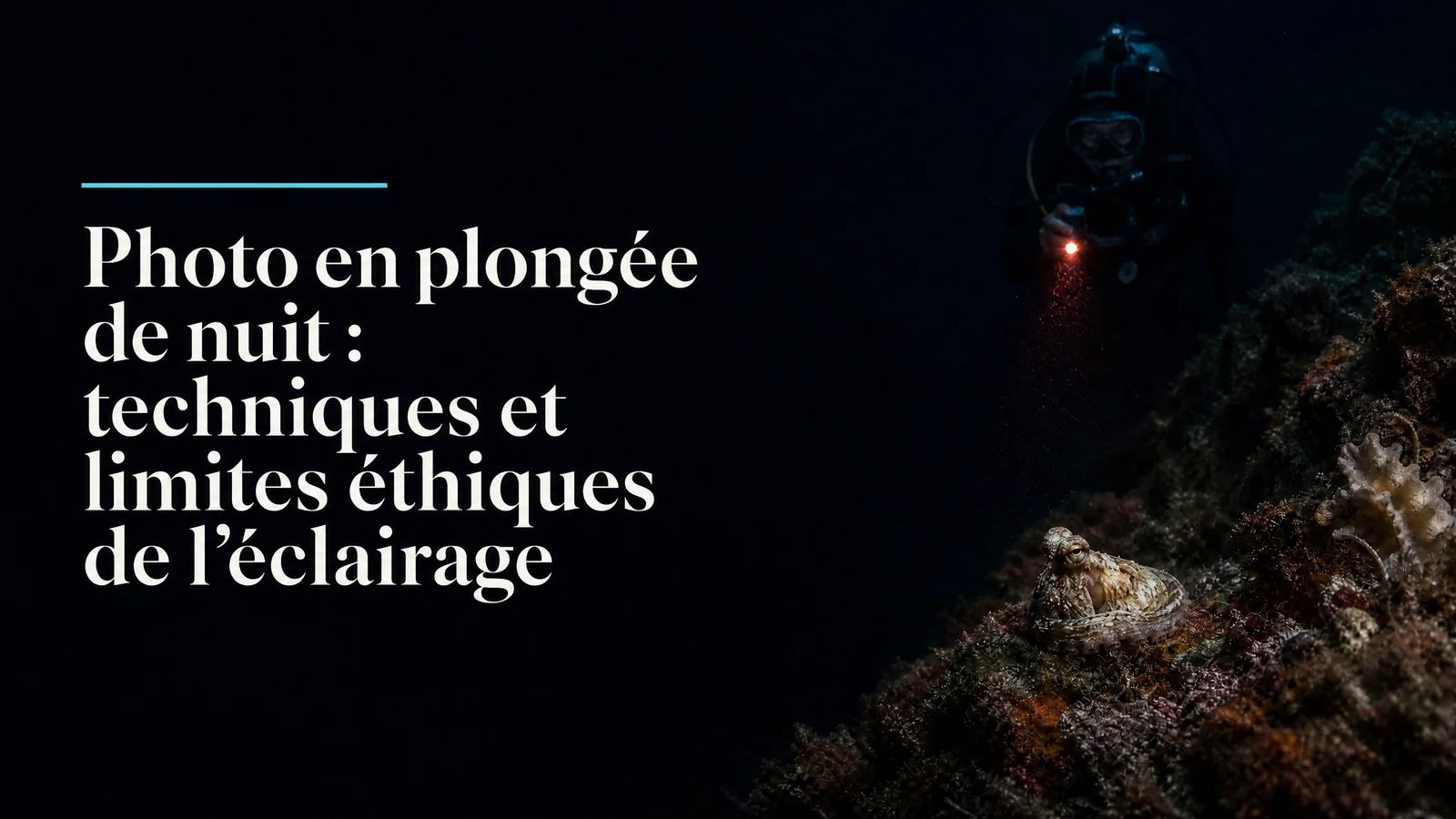Photo en plongée de nuit : techniques et limites éthiques de l'éclairage