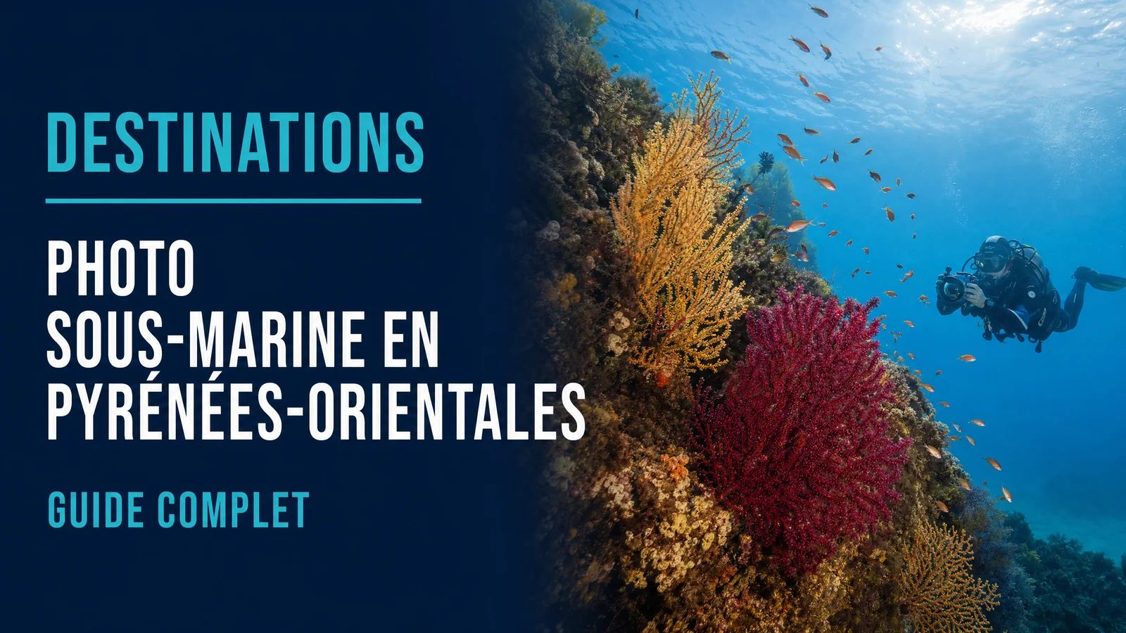 Photo sous-marine en Pyrénées-Orientales : guide complet