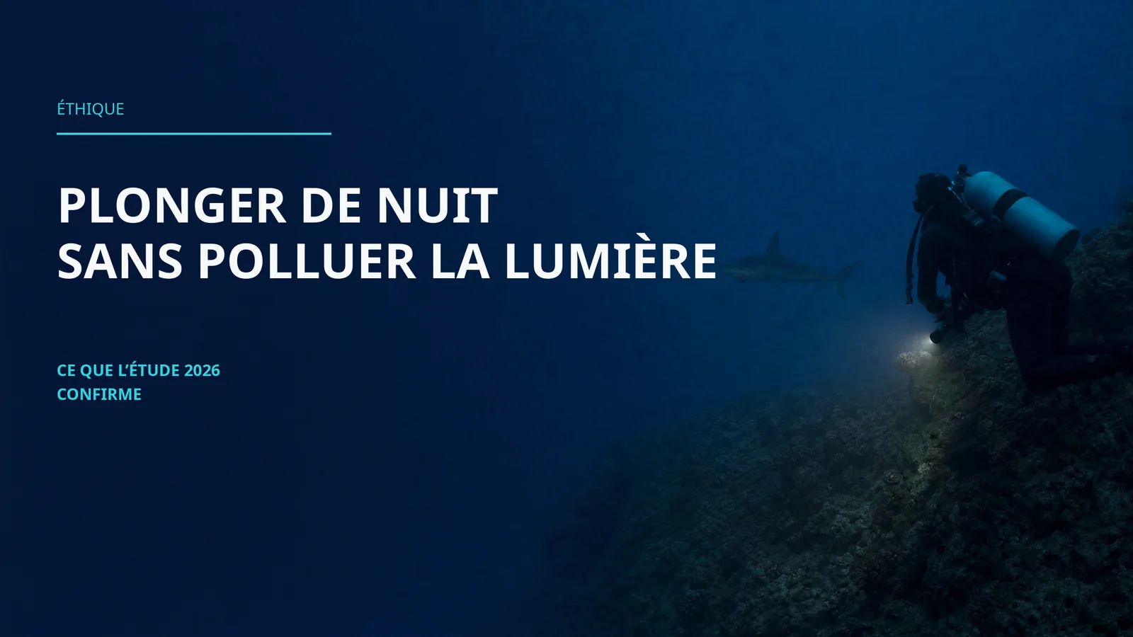 Light Pollution on Night Dives: What a 2026 Study Just Confirmed About Sharks (and Our Dive Lights)