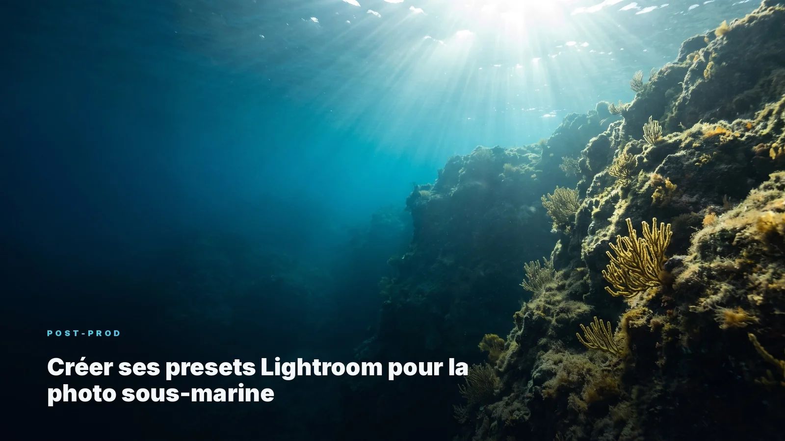 Creating Lightroom Presets for Underwater Photography