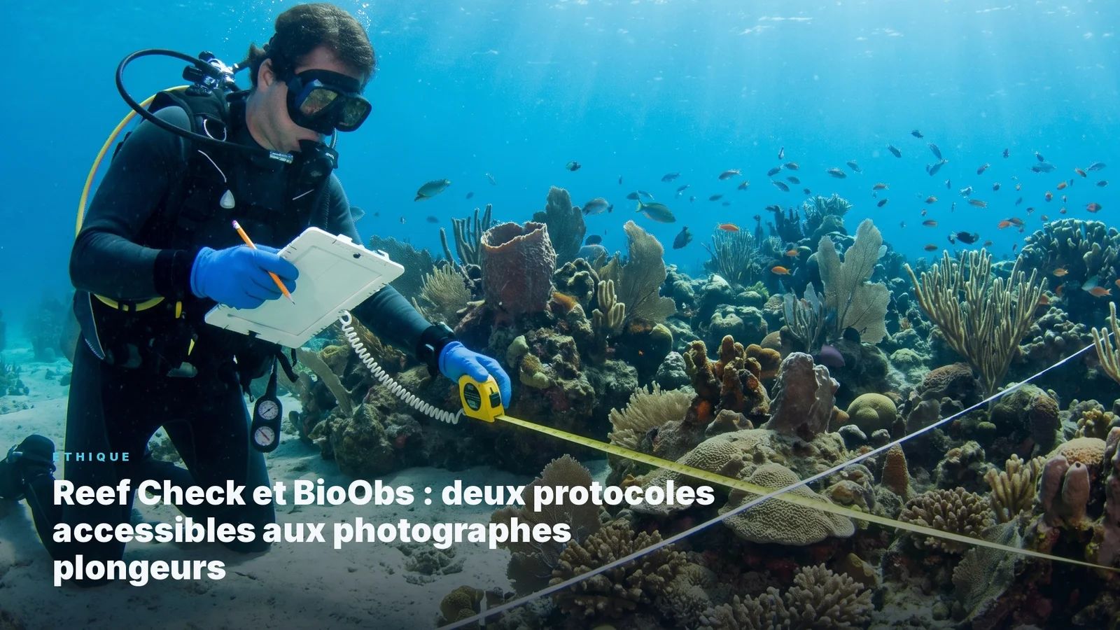 Reef Check and BioObs- Two protocols accessible to scuba diving photographers.