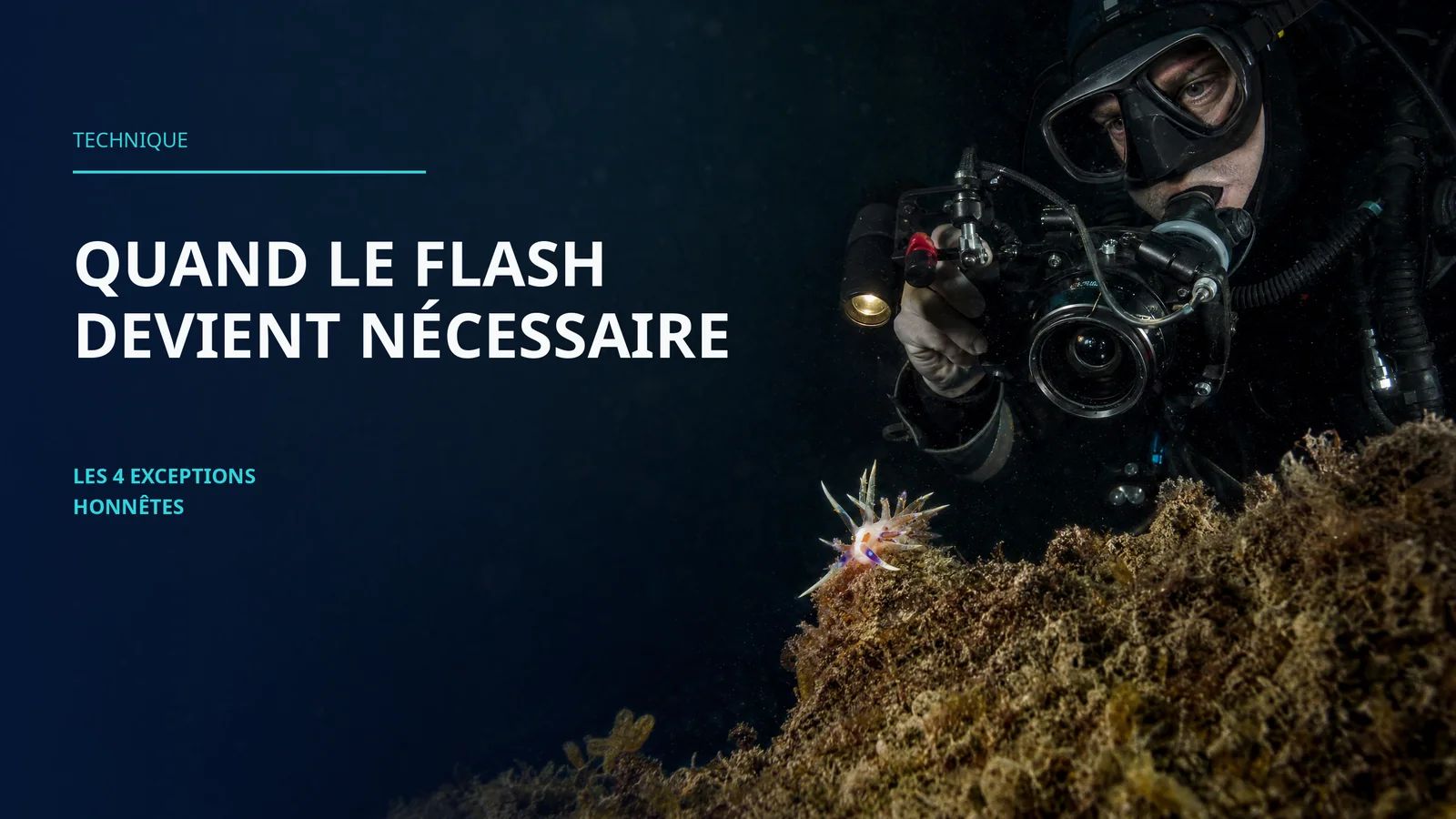 Quand le flash devient nécessaire sous l'eau : les 4 exceptions honnêtes