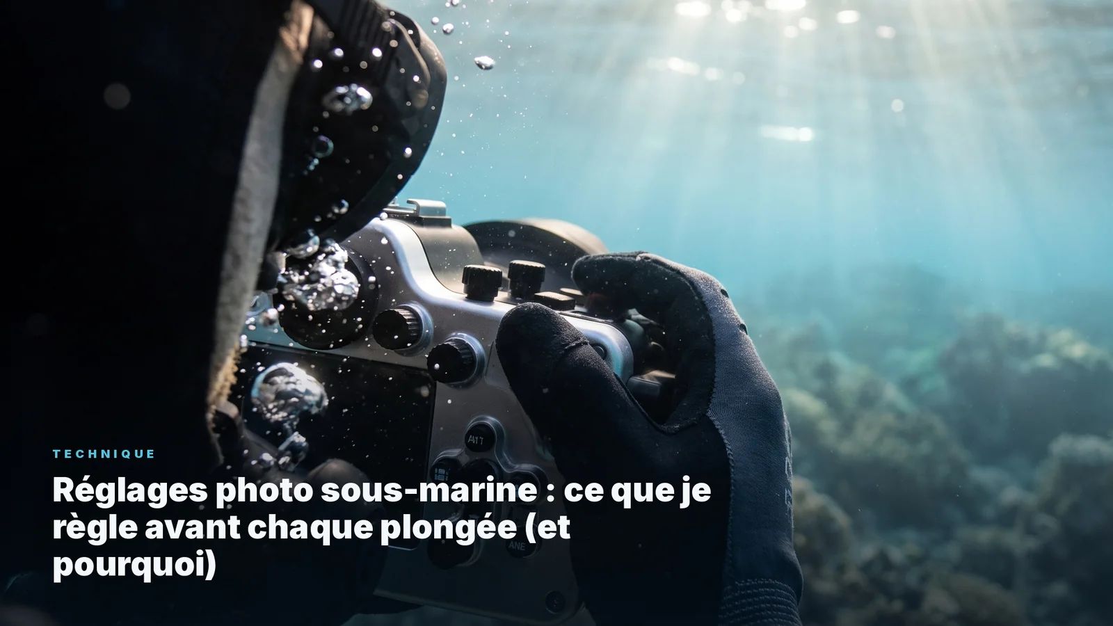 Réglages photo sous-marine : ce que je règle avant chaque plongée (et pourquoi)