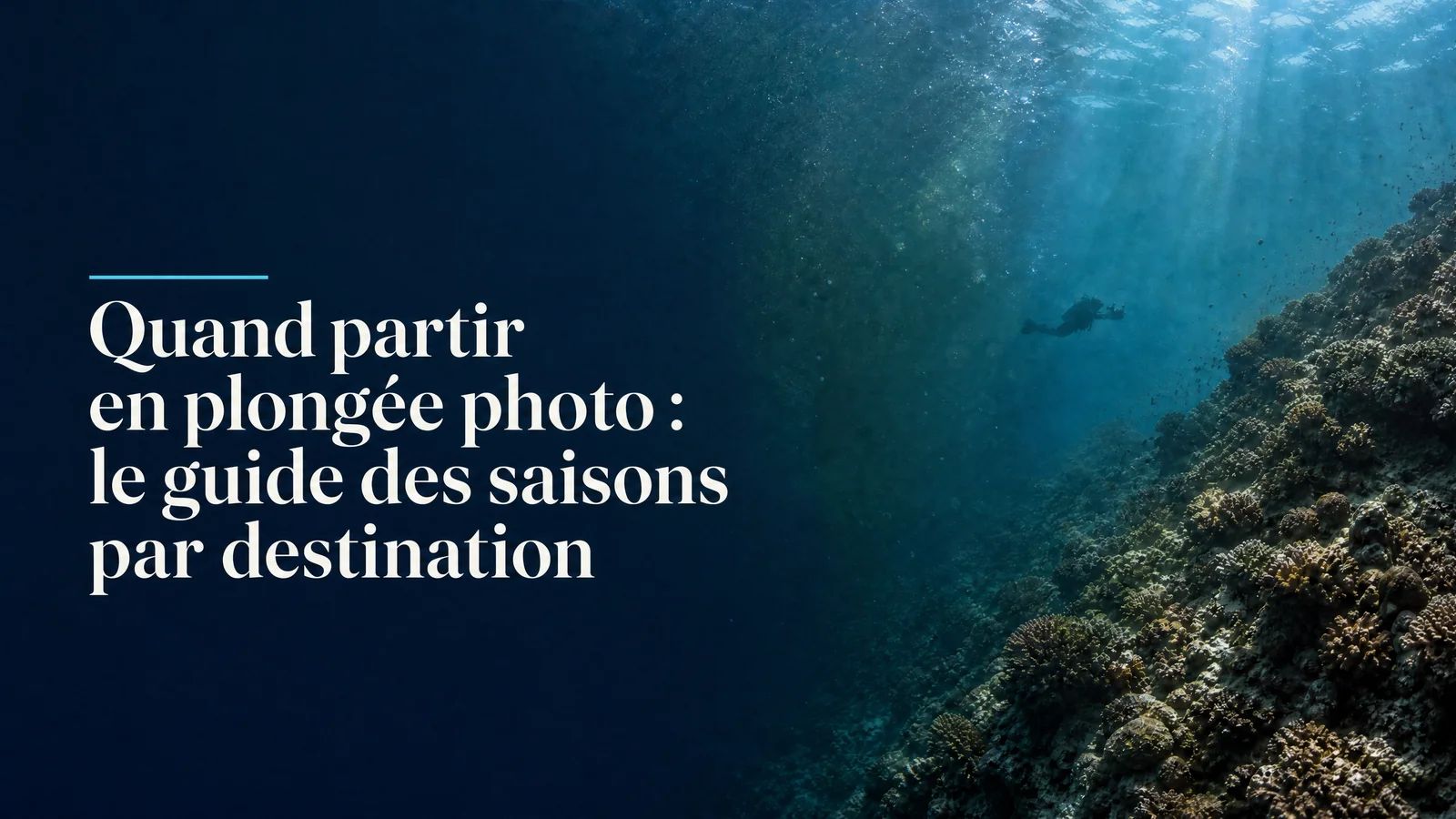 Best season for dive photography: when to go, destination by destination