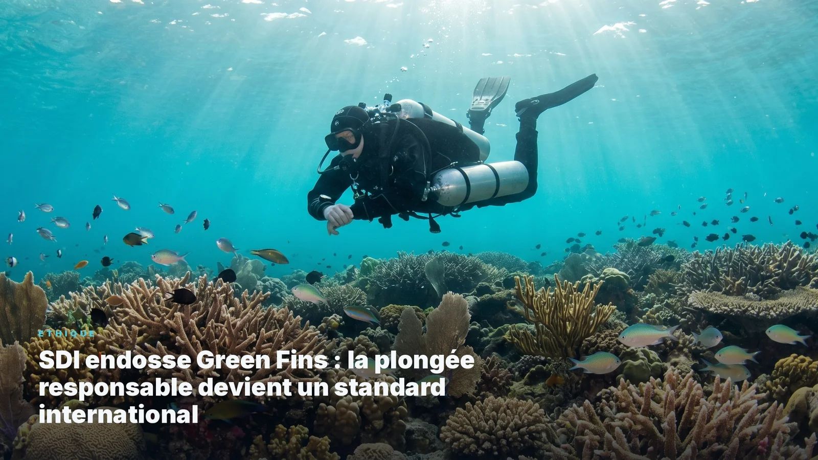 SDI endosse Green Fins : la plongée responsable devient un standard international