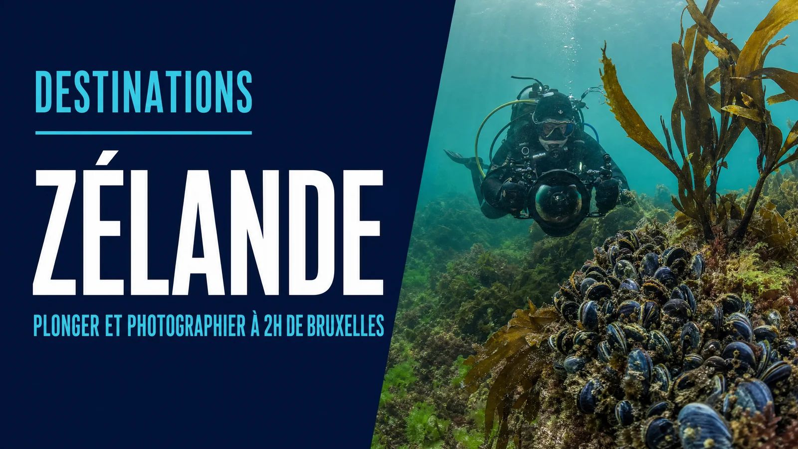 Zélande : plonger et photographier à 2h de Bruxelles