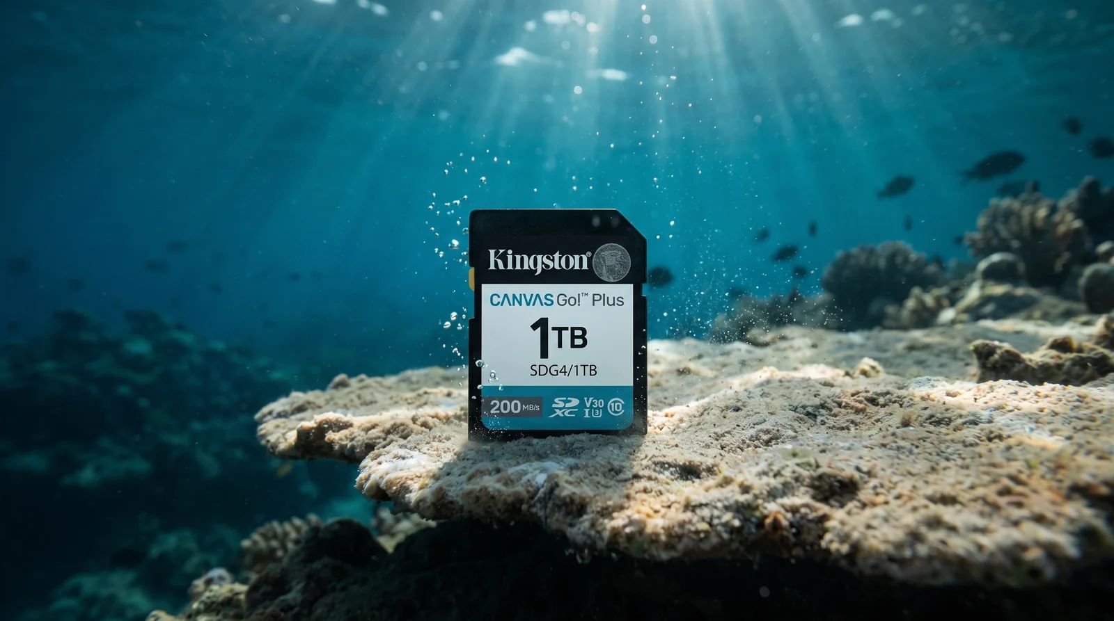Kingston Canvas Go! Plus : l'équilibre entre robustesse et performance pour le photographe voyageur