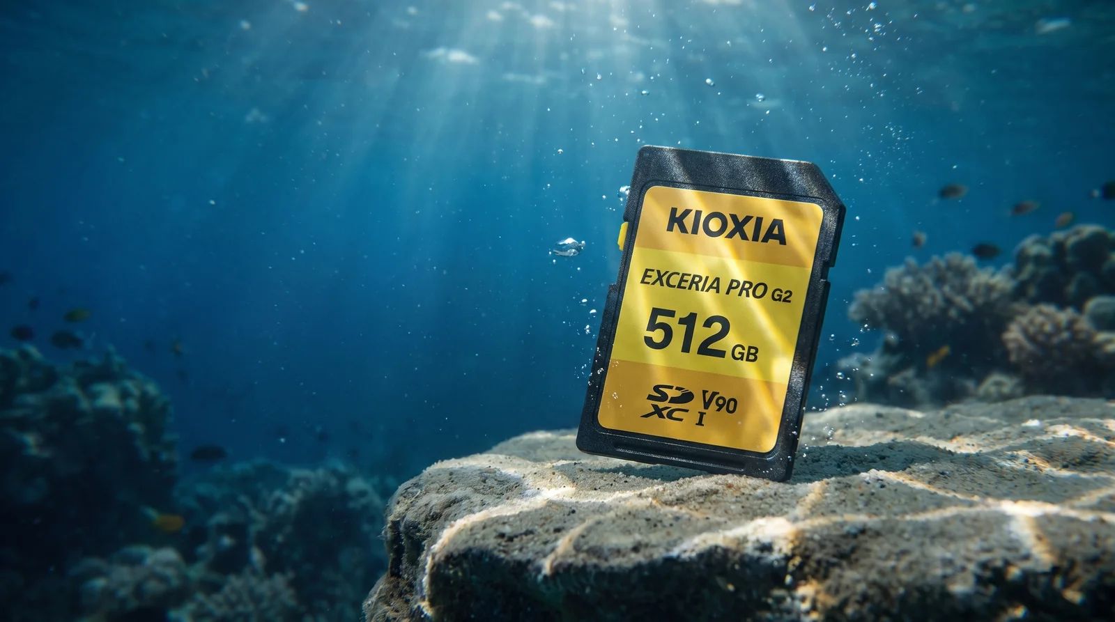 Kioxia EXCERIA PRO G2 SDXC V90 : la performance BiCS FLASH au service du 8K