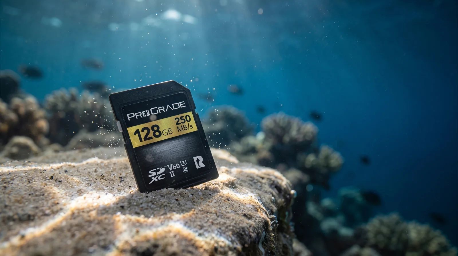 ProGrade Digital SDXC UHS-II V60 Gold: Reliability for underwater photography.
