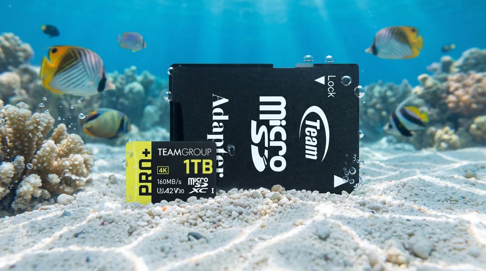 TeamGroup PRO+ microSDXC: 2TB for your underwater expeditions.
