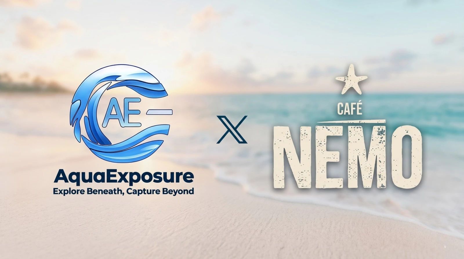 Café Nemo x AquaExposure : deux façons de raconter l'océan, une seule conviction