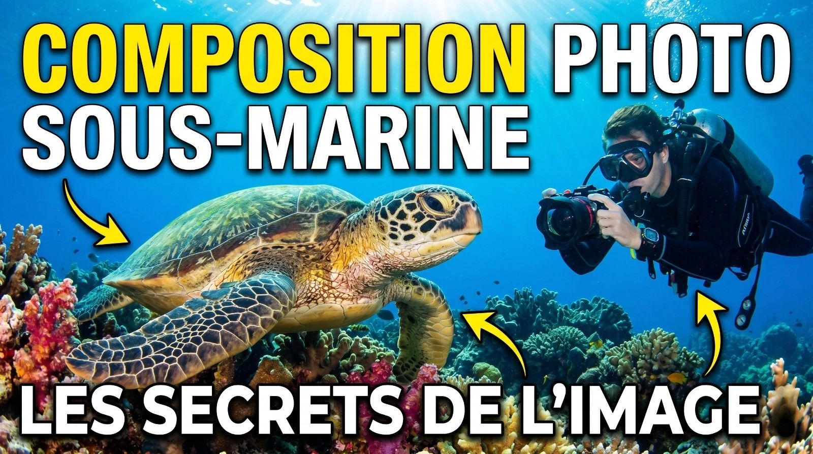 Composition en photo sous-marine : règle des tiers, espace négatif et lignes de fuite