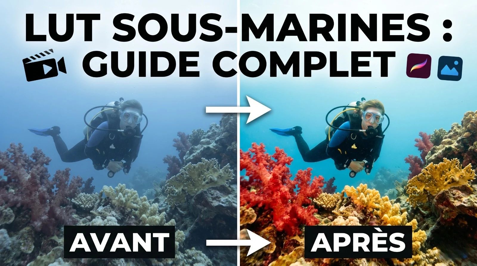 Underwater LUTs: A Smart Shortcut If You Know What's Behind It