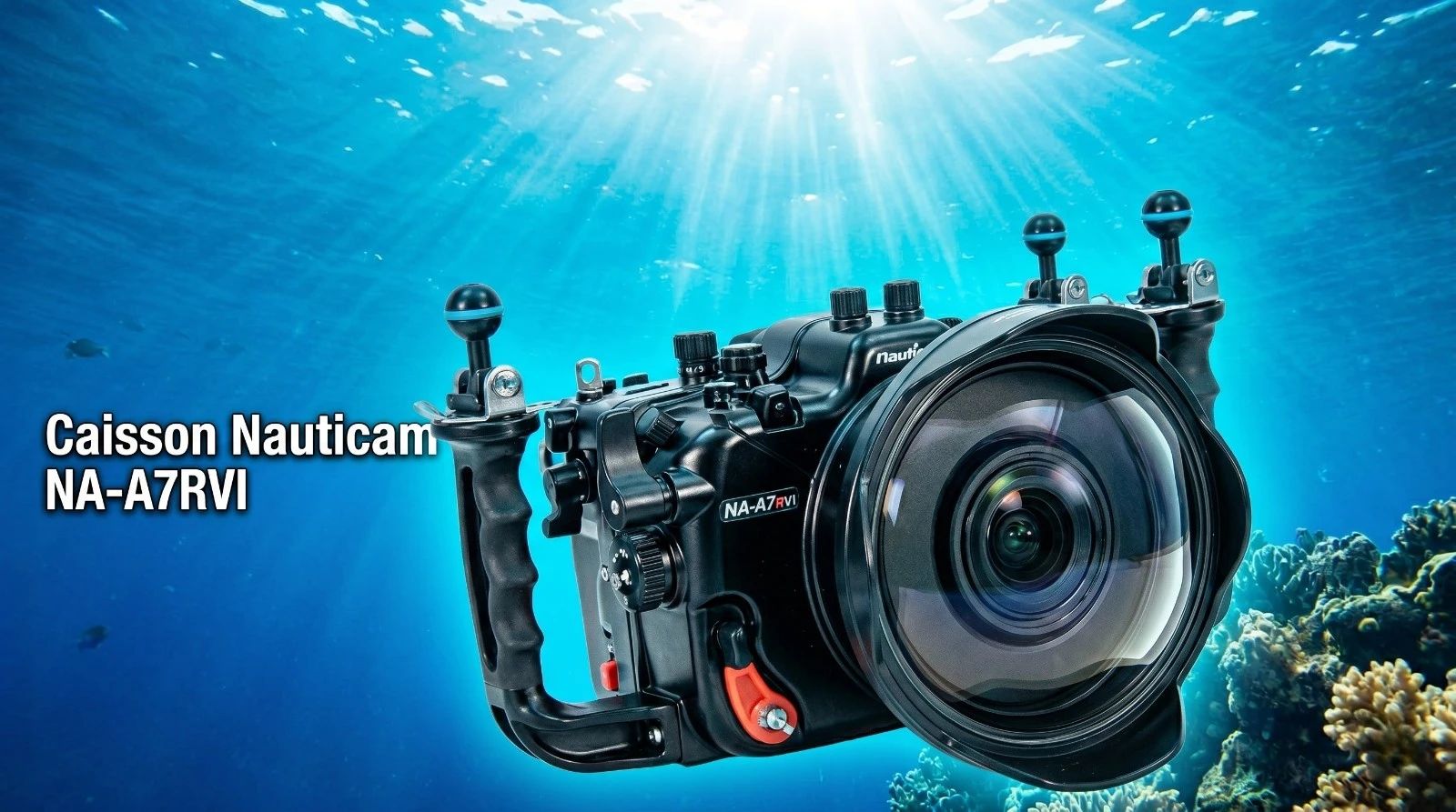 Nauticam NA-A7RVI: the housing for the Sony a7R VI aimed at pros