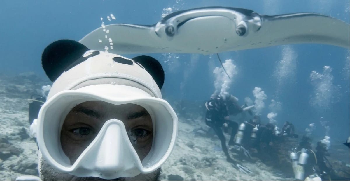 La Scénographie de l'Effacement : Le Secret que 99 % des Photographes Sous-Marins Ignorent