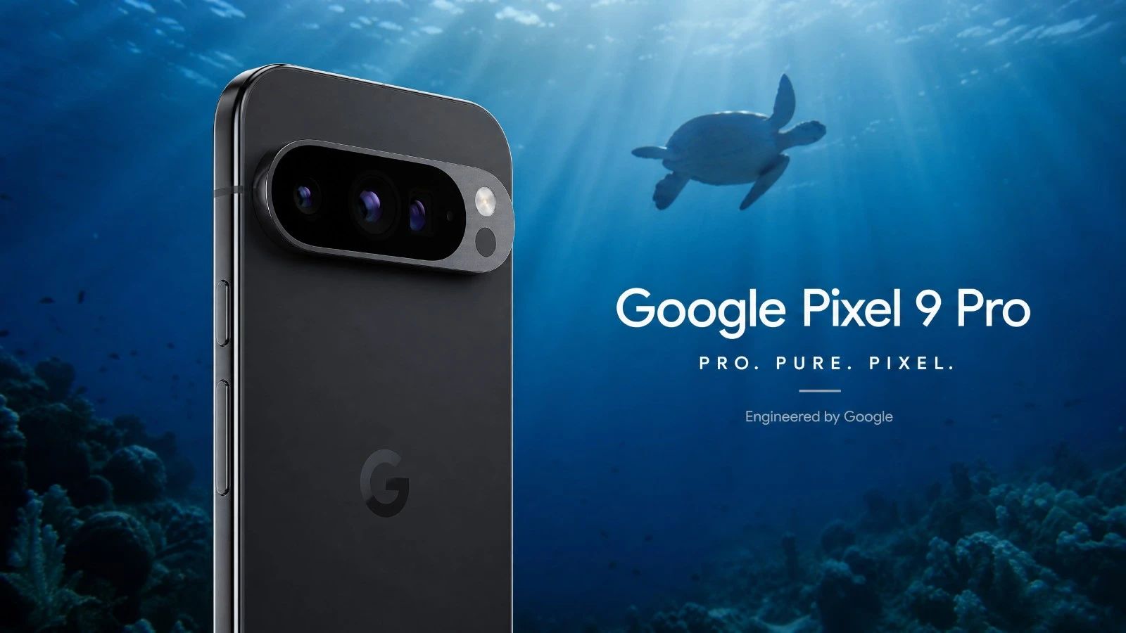 Test Google Pixel 9 Pro: Underwater Photography Review and 2026 Score
