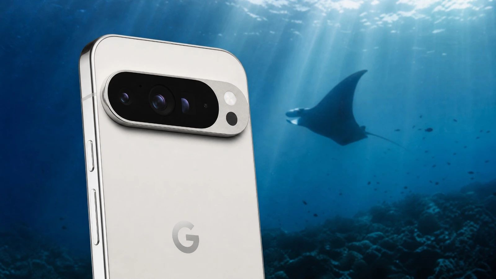 Test Google Pixel 9 Pro XL: Underwater Photography Review and 2026 Score