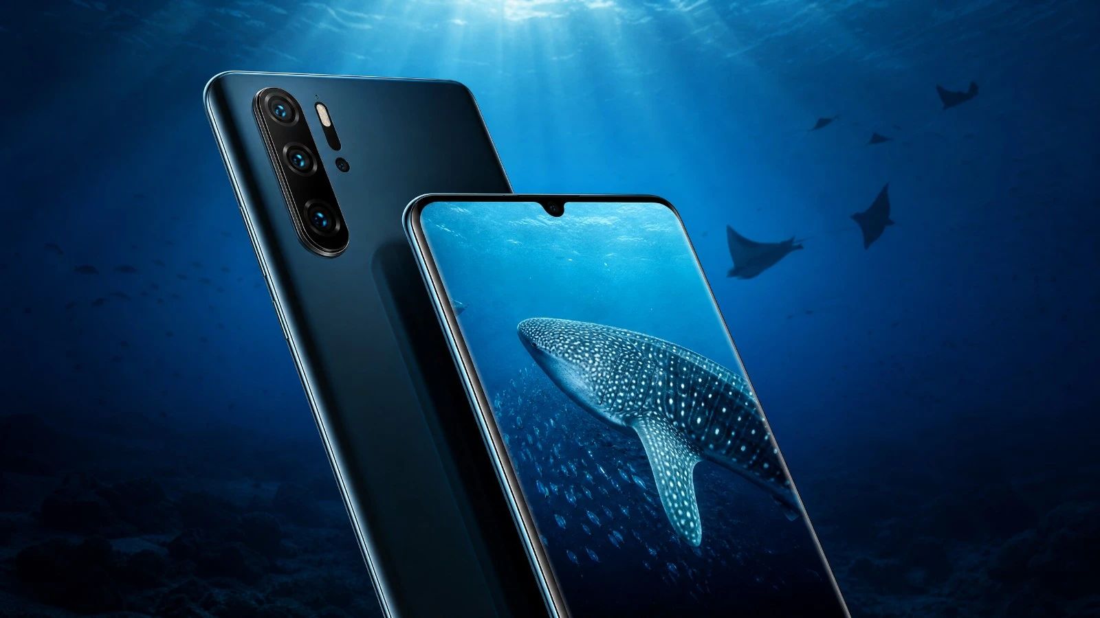 Test Huawei P30 Pro en plongée photo : notre score 2026