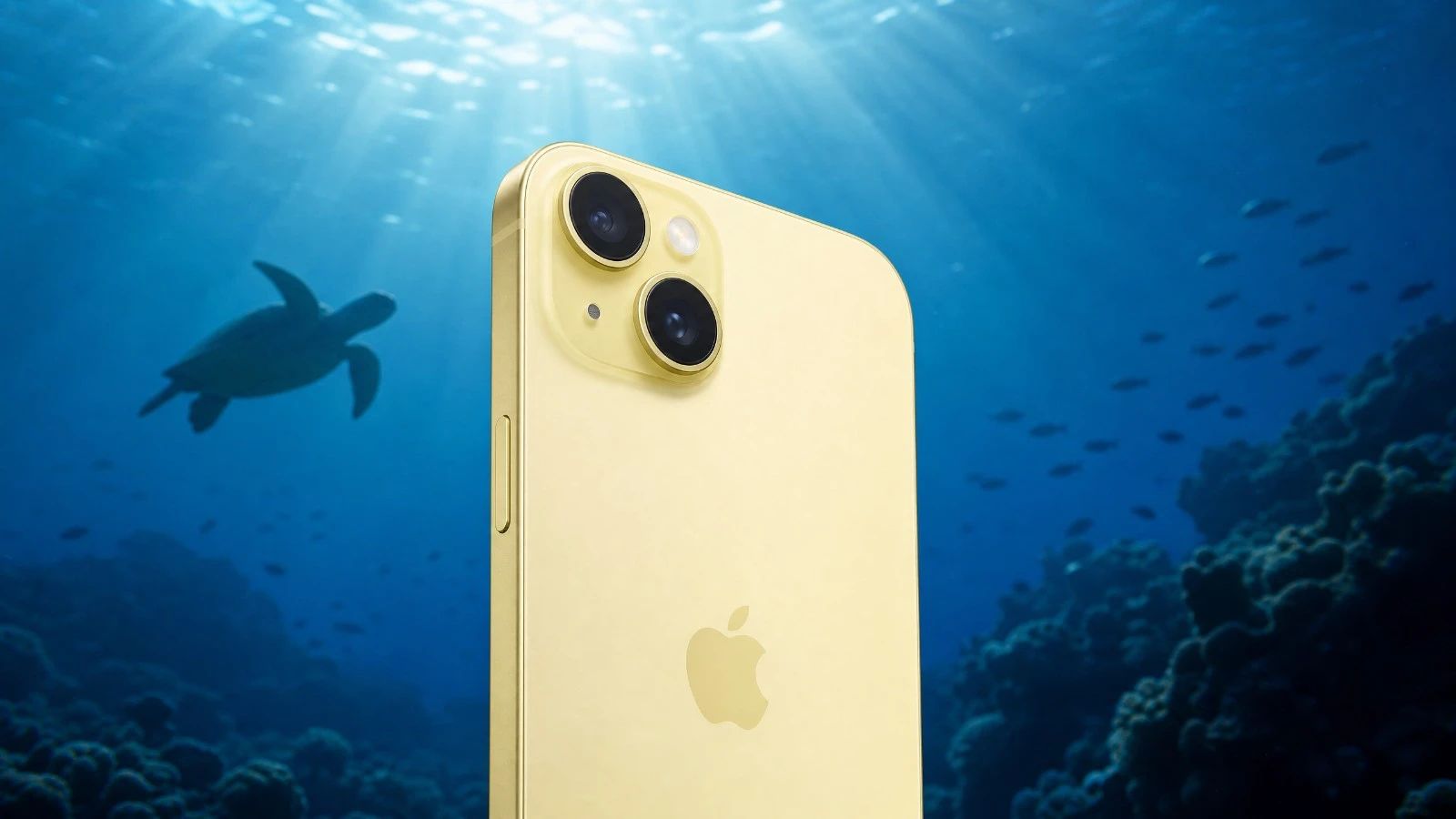 Test iPhone 15 Plus: Underwater Photography Review and 2026 Score