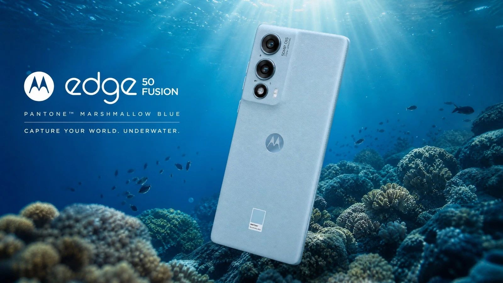 Test Motorola Edge 50 Fusion en plongée photo : notre score 2026