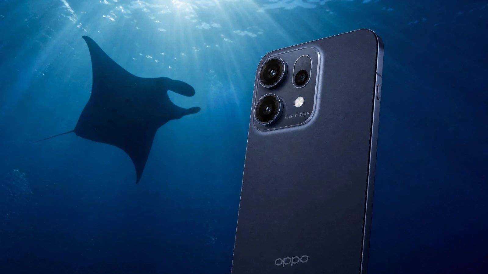 Test Oppo Reno 14 Pro: Underwater Photography Review and 2026 Score