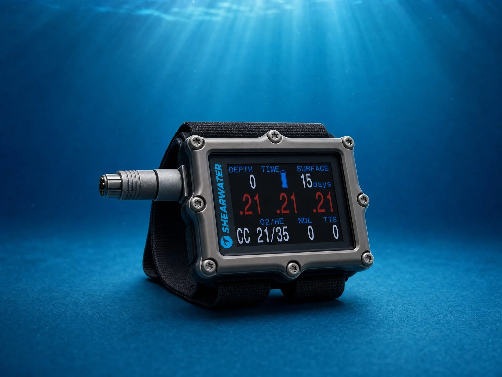 Visuel Shearwater Shearwater Petrel 3 Fisher